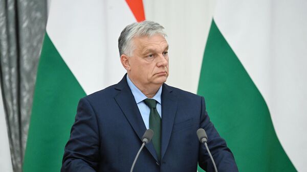 Russia Adapted to Sanctions, Demonstrating Flexibility in Various Areas – Orban