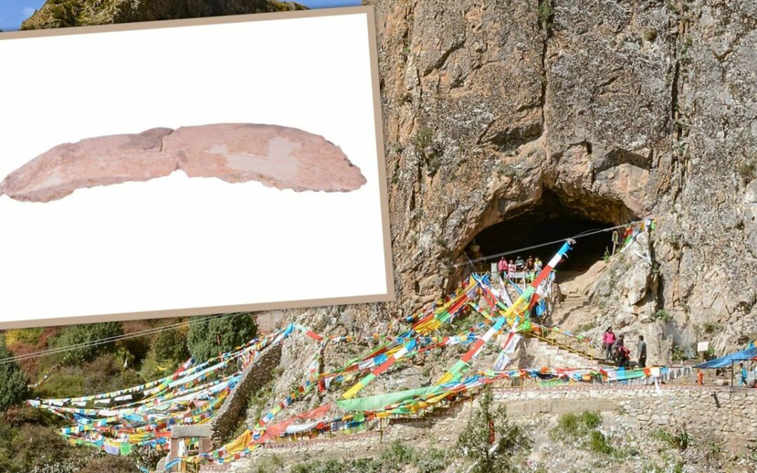 Fossilised rib bone suggests mysterious Denisovans may have coexisted with ancient humans