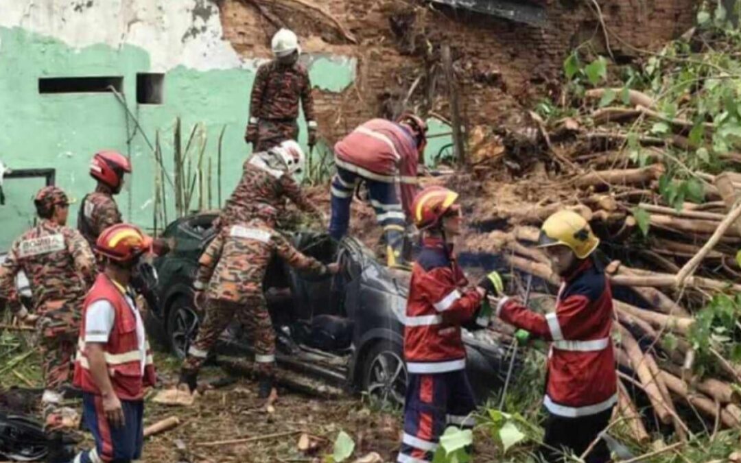 Father, daughter from China die after tree falls on car in Malaysia