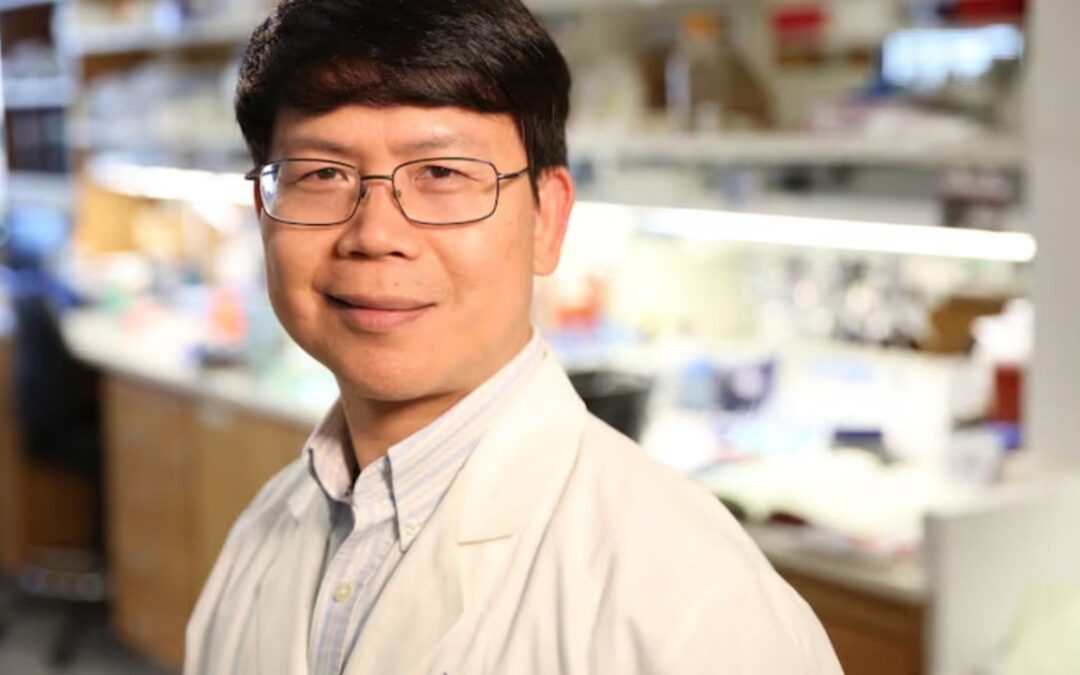 China-born Chen Zhijian wins top US medical research prize said to foretell Nobel