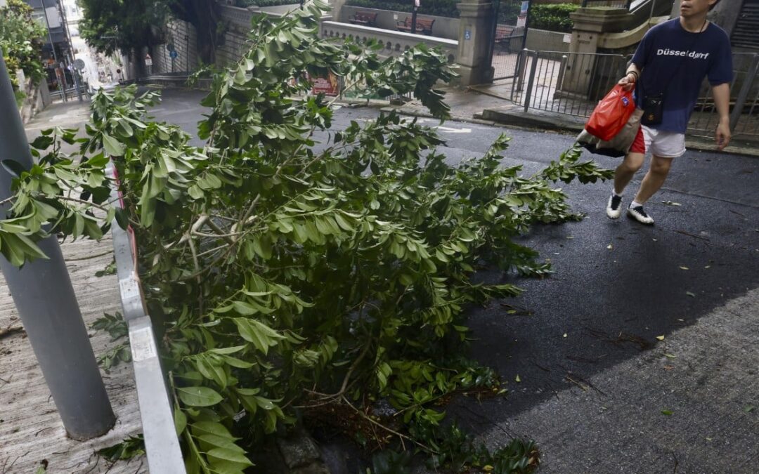 51% of Hongkongers say city’s extreme weather policies ineffective, Greenpeace survey finds