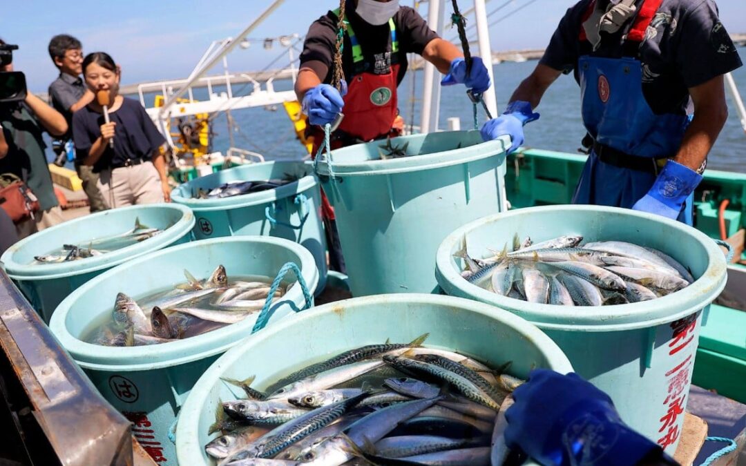 China to ‘gradually’ lift ban on Japanese seafood imports