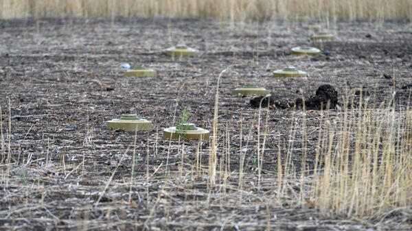 Russian Armed Forces Develop New Mine Clearance Method