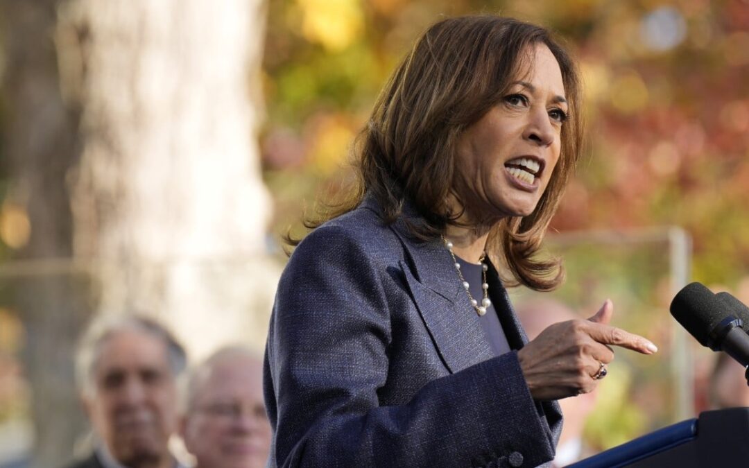 Kamala Harris grilled in combative Fox News interview