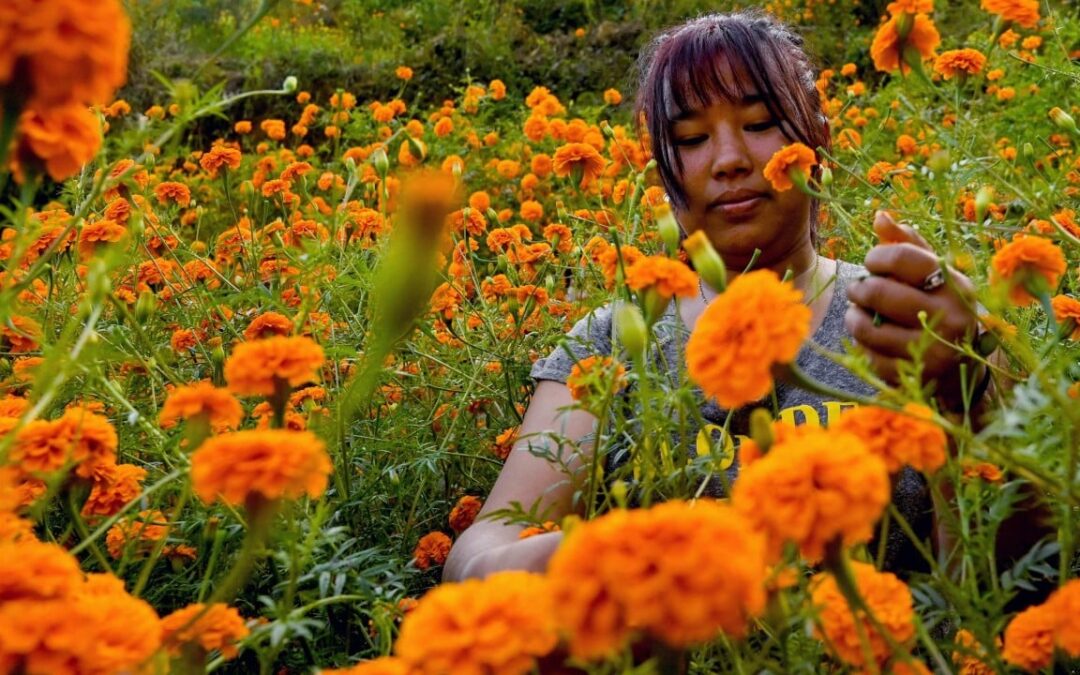 Nepali women bloom amid garland industry’s flowering prosperity