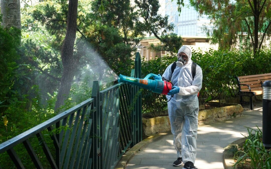 Hong Kong monkey deaths spark calls for external review, soil sampling at zoo