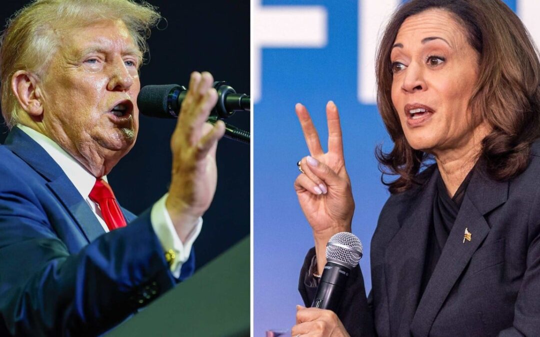 Harris challenges Trump to cognitive test in response to jabs from Republican about her IQ