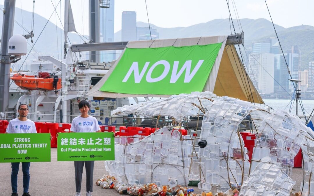 Hong Kong should do more to pressure producers of single-use plastics, Greenpeace says