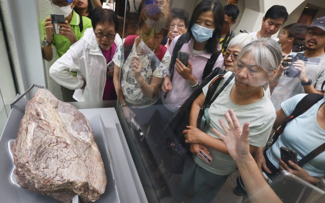 Hong Kong dinosaur fossil exhibit debuts to fanfare, but some say showcase lacks context