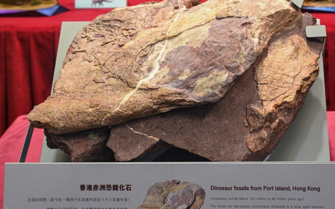 Discovery of dinosaur fossils in Hong Kong challenge long-held geological beliefs: experts