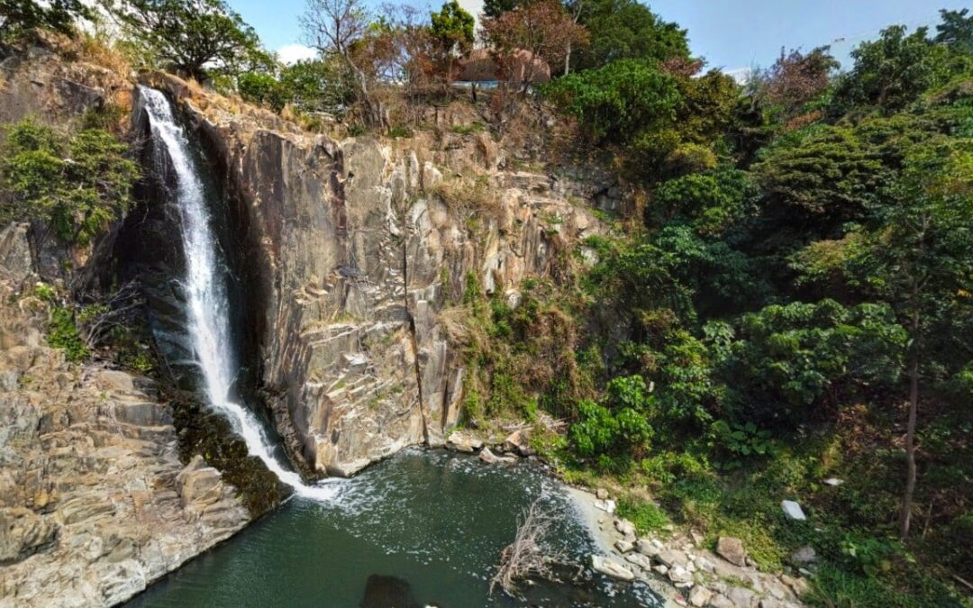 Woman found dead in pond in Hong Kong’s Waterfall Bay Park