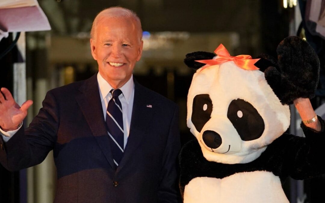 Jill Biden dresses as a giant panda for final White House Halloween