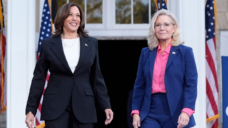 The enemy of Kamala Harris’s enemy: a full-frontal assault to subdue Trump’s MAGA movement