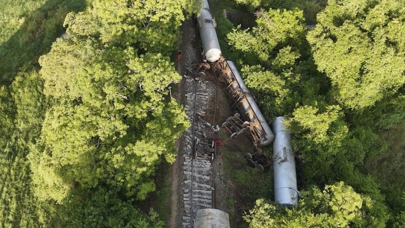 Train hits and kills 2 wild elephants in Sri Lanka as 2 of its fuel-carrying tankers derail