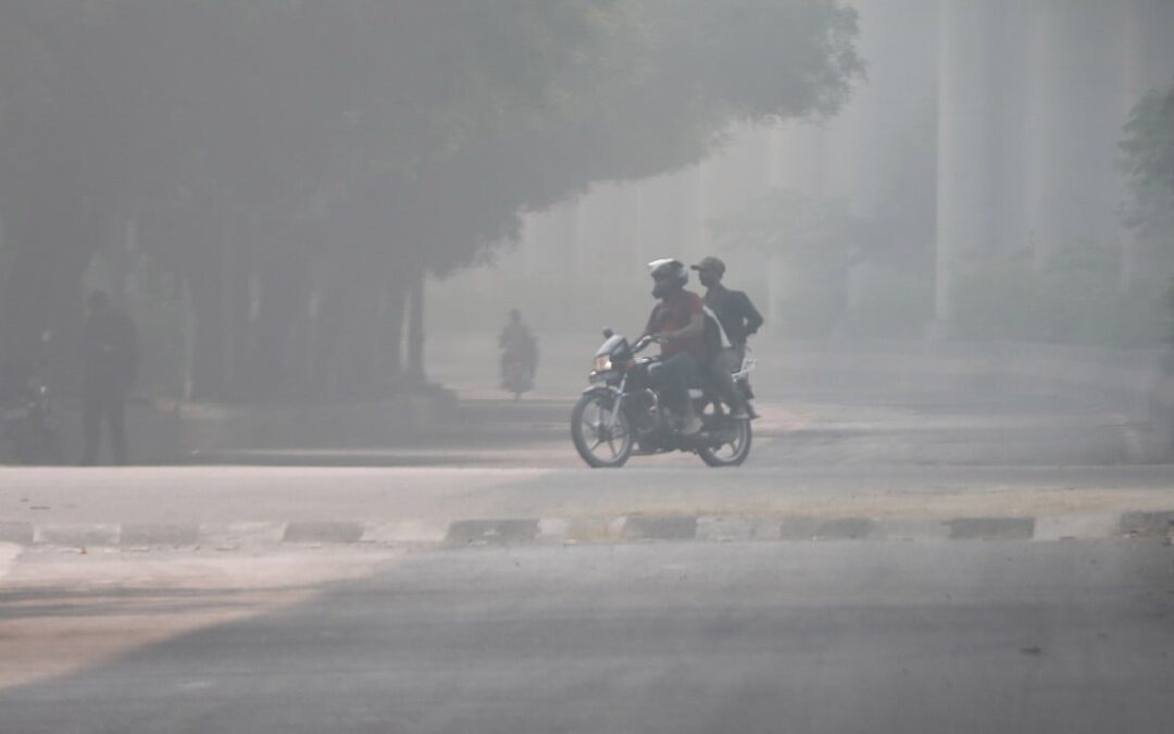 New Delhi schools shut amid smog crisis, Shanghai tops pollution list: 6 environment stories