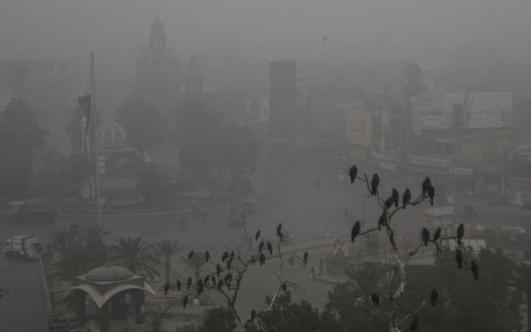 Pakistan province declares smog health emergency, locks down 2 cities