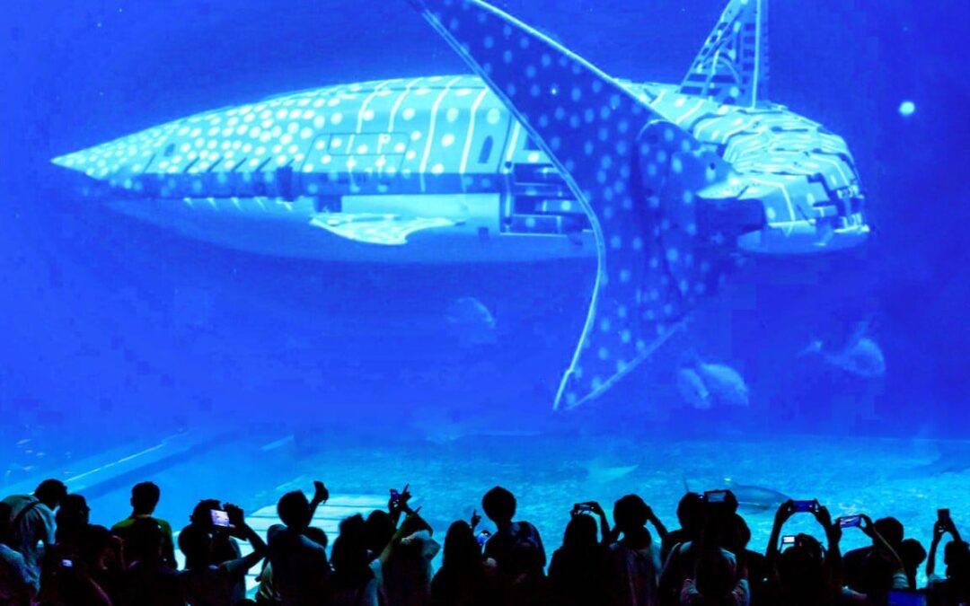 China aquariums opt for robotic whales to cut costs, leaving visitors feel deceived