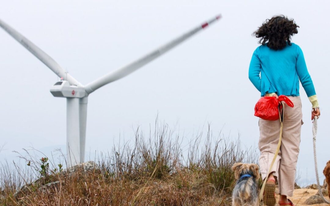 About 90% of Hongkongers in favour of prioritising local renewable energy, survey finds