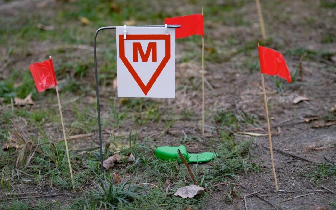 Ukraine mine-clearing efforts struggle to revive war-torn farms