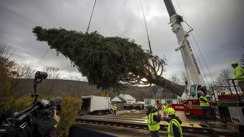 Haul out the holly! Rockefeller Center Christmas Tree arrives in New York City