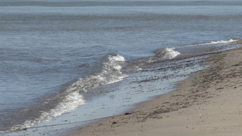 Florida surfer is bit by a shark at the same beach he was bitten at 11 years ago