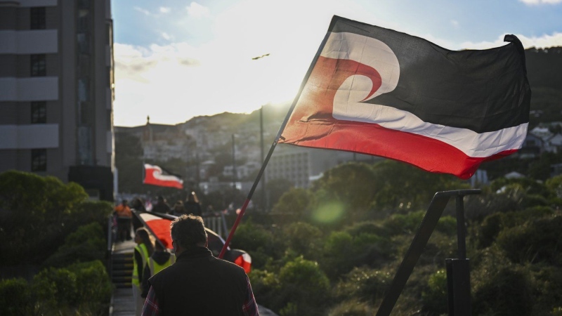 New Zealand’s founding treaty is at a flashpoint. Why are thousands protesting for Māori rights?