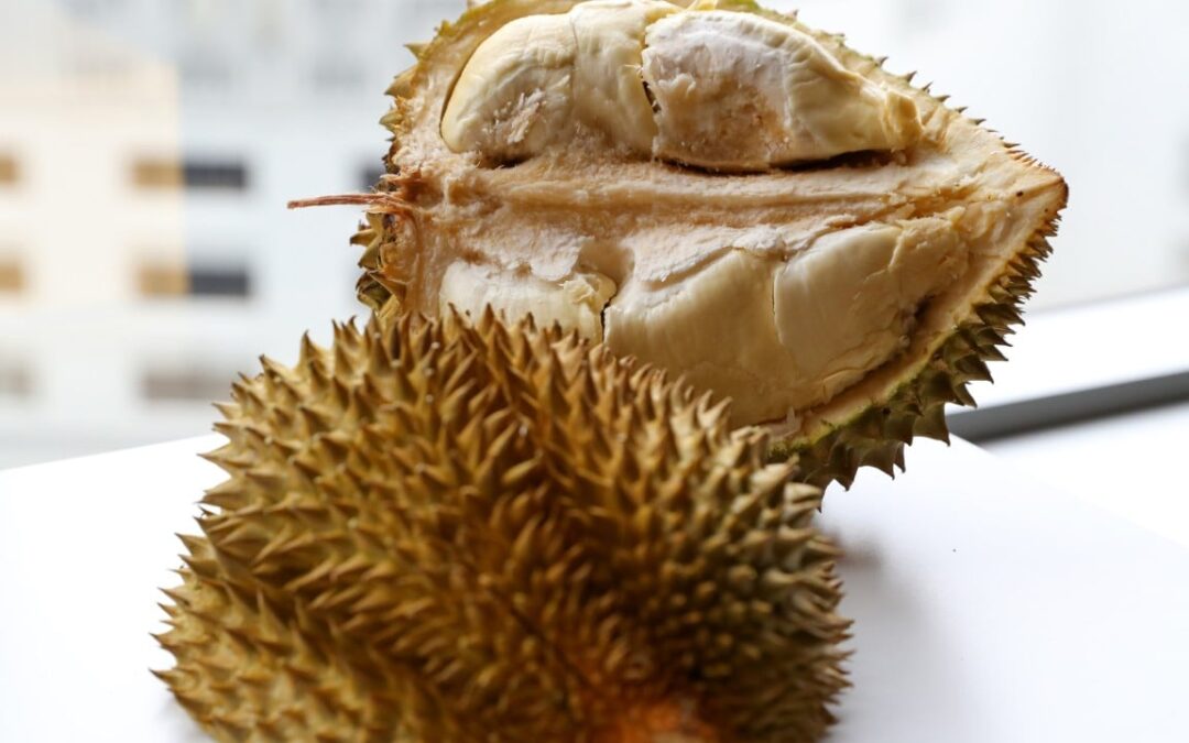 Scientists find key nutrient missing in China-grown durian