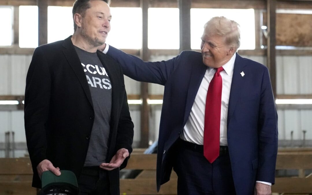 Trump sides with Elon Musk in right-wing row over worker visas