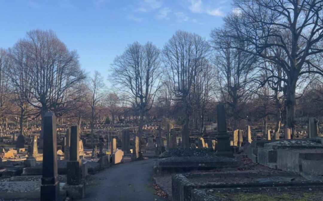 Sweden embarks on sober search for more cemetery space in event of war