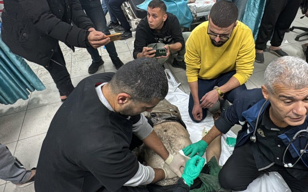 Gaza doctors struggle to rescue patients after Israel orders hospital evacuated