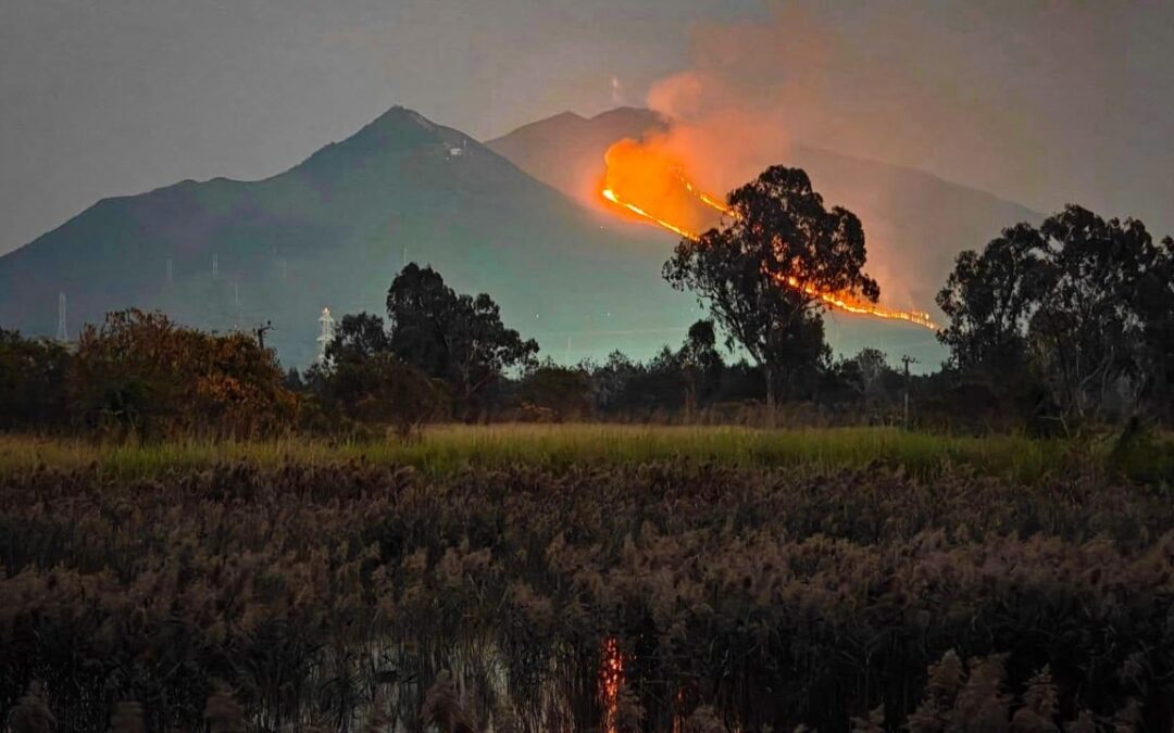 Hill fire in Hong Kong largely under control after burning for over 17 hours