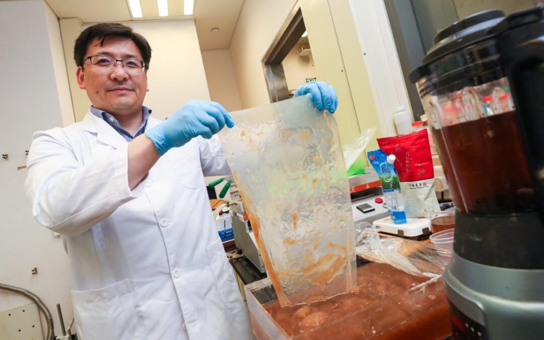 Hong Kong scientists turn kombucha ingredient into plastic substitute