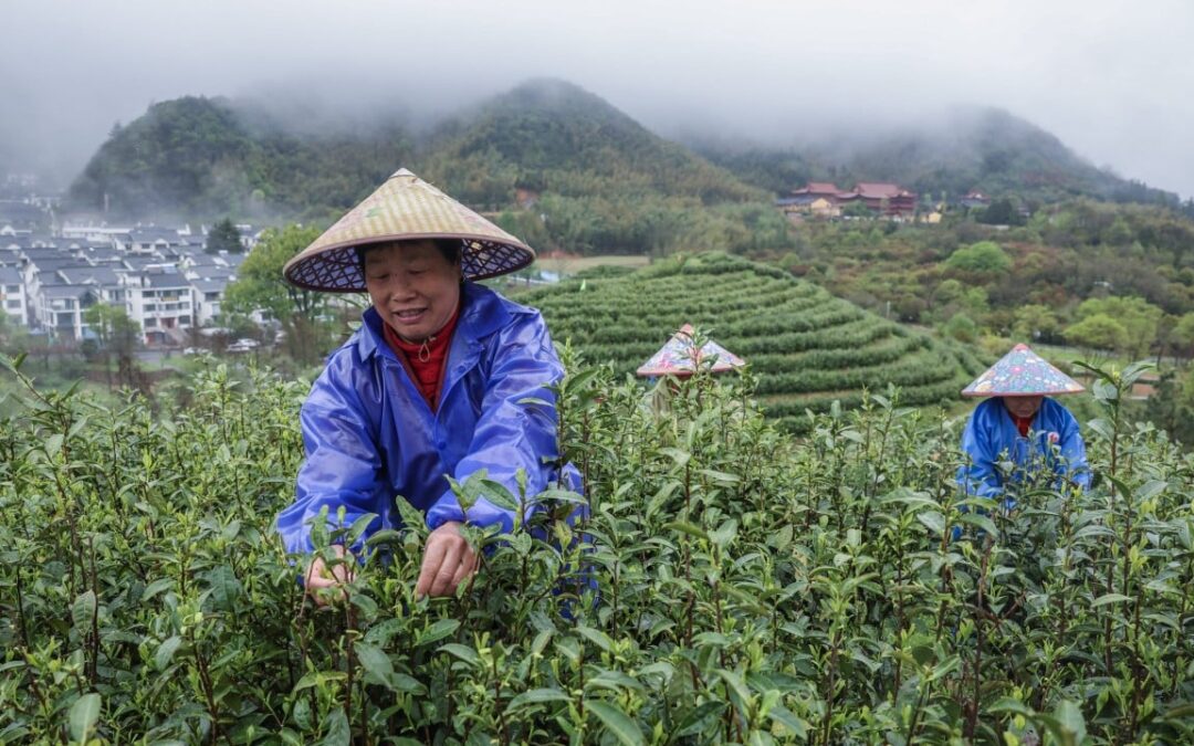 China’s powerhouse province renews ‘common prosperity’ pledge for 2035