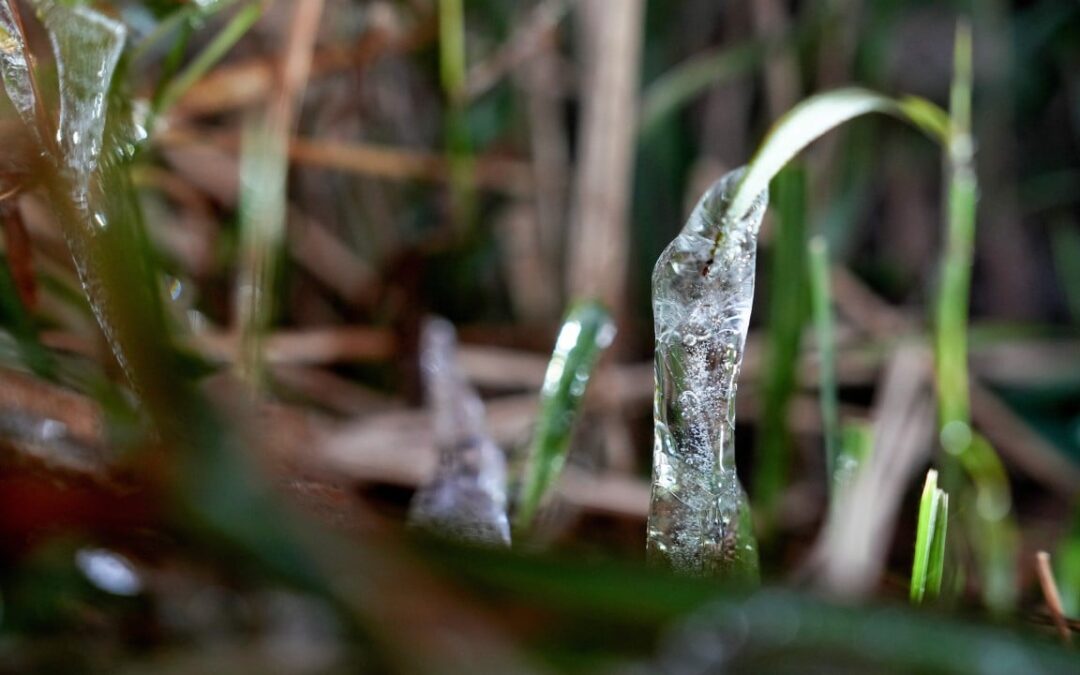 Hongkongers can expect frost on high ground, New Territories on Sunday