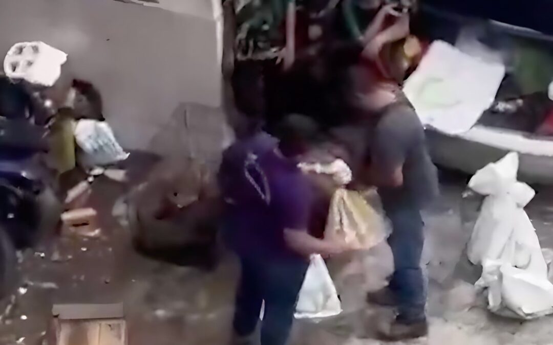 Malaysia investigates viral video of cats being stuffed into sacks