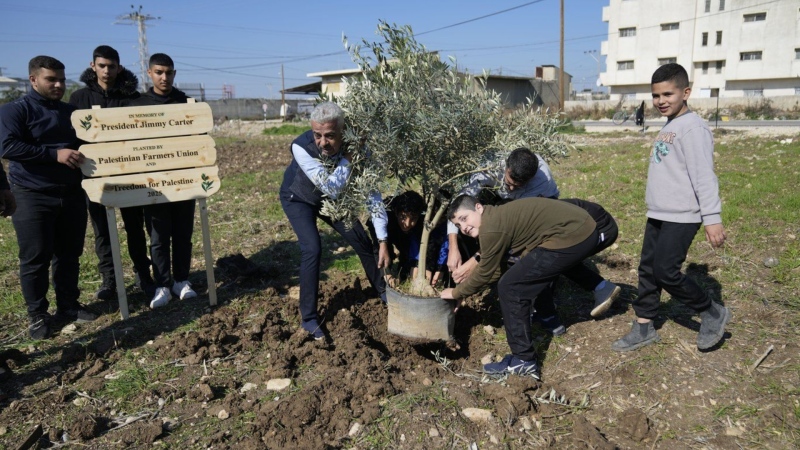 Palestinians dedicate a new West Bank olive grove to Jimmy Carter